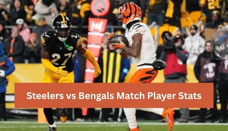 Steelers vs Bengals Match Player Stats