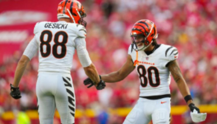Washington Commanders vs Bengals Match Player Stats