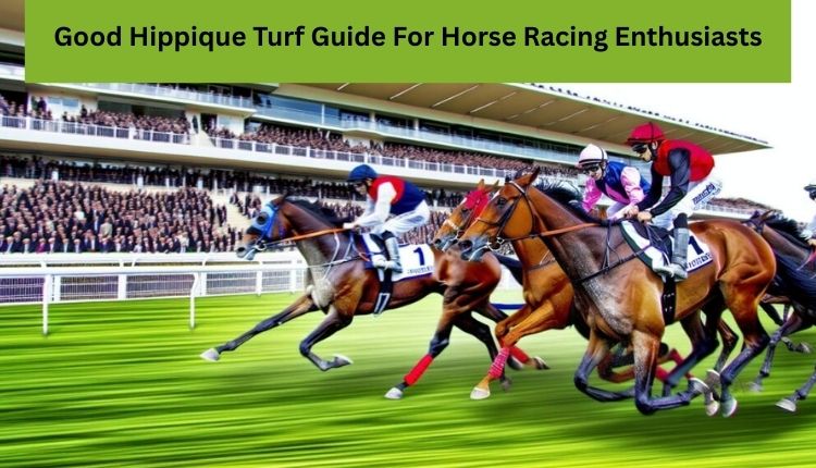 Good Hippique Turf Guide For Horse Racing Enthusiasts