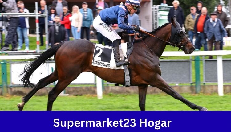 Detroit Pistons vs Pacers Match Player Stats